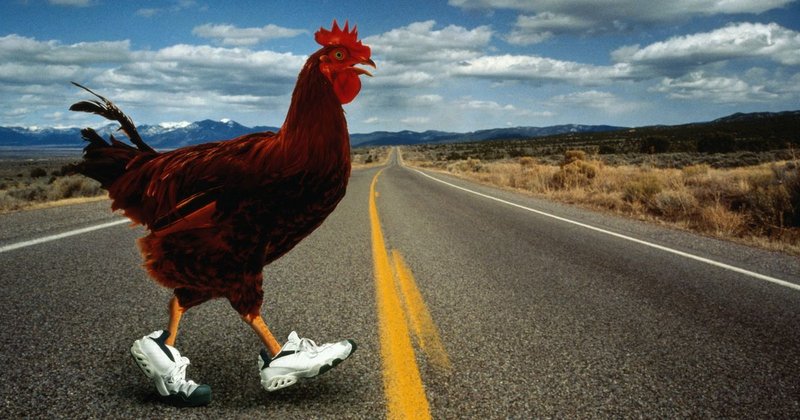 Chicken road oficial - Descubre el Emocionante Juego de Aventuras de la Ruta del Pollo en España